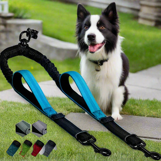 Laisse double pour chien - DuoWalk™ : la solution anti - emmêlement parfaite - Jappy Toutou