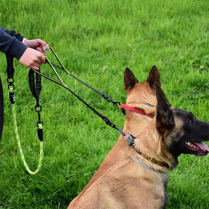 Laisse double pour chien - DuoWalk™ : la solution anti - emmêlement parfaite - Jappy Toutou