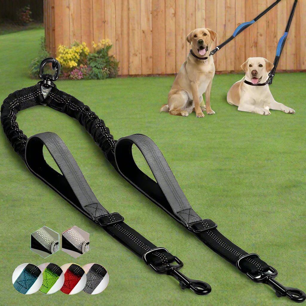 Laisse double pour chien - DuoWalk™ : la solution anti - emmêlement parfaite - Jappy Toutou