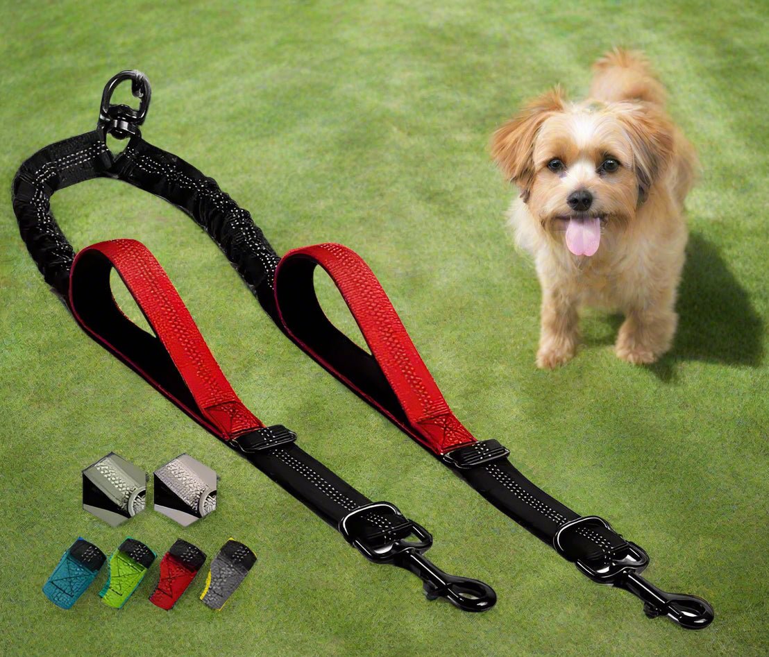 Laisse double pour chien - DuoWalk™ : la solution anti - emmêlement parfaite - Jappy Toutou