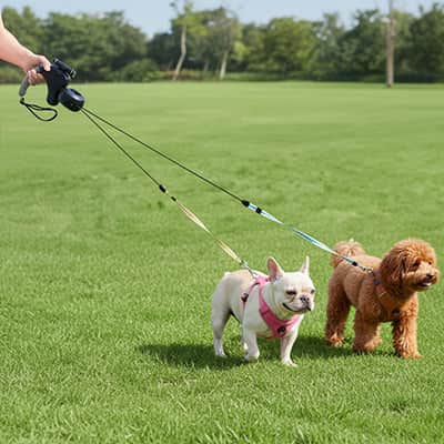 Laisse double pour Chien | JappyTandem™ - Jappy Toutou