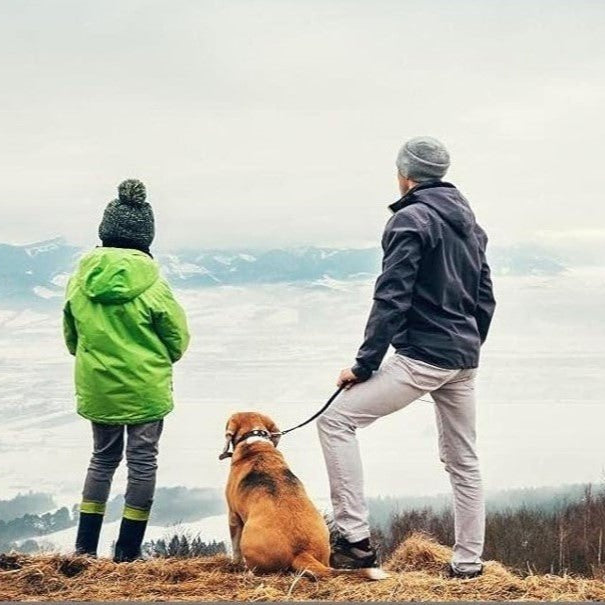 Laisse enrouleur enfin promenade agréable, détendue assurée. -www.JappyToutou.com