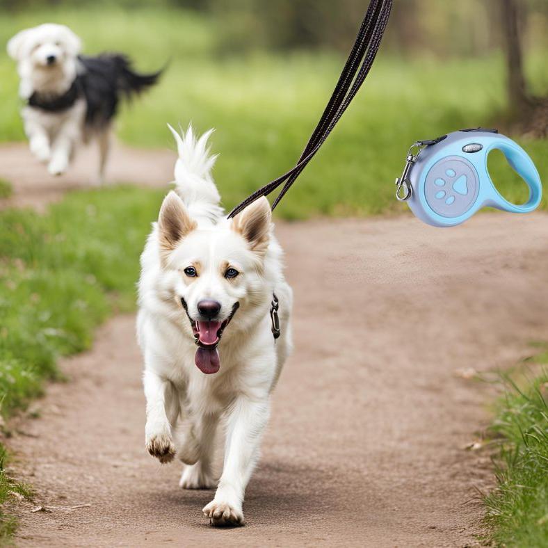 Laisse enrouleur petit chien : La solution idéale pour vos promenades quotidiennes -www.JappyToutou.com