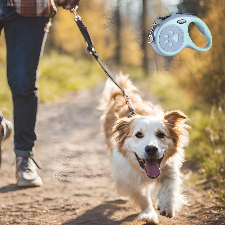 Laisse enrouleur petit chien : La solution idéale pour vos promenades quotidiennes - www.JappyToutou.com