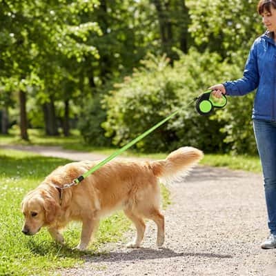 Laisse enrouleur pour chien | Fil Complice™ - Jappy Toutou