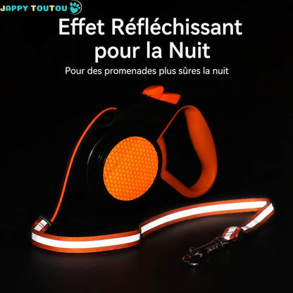 Laisse enrouleur pour chien | Fil Complice™ - Jappy Toutou