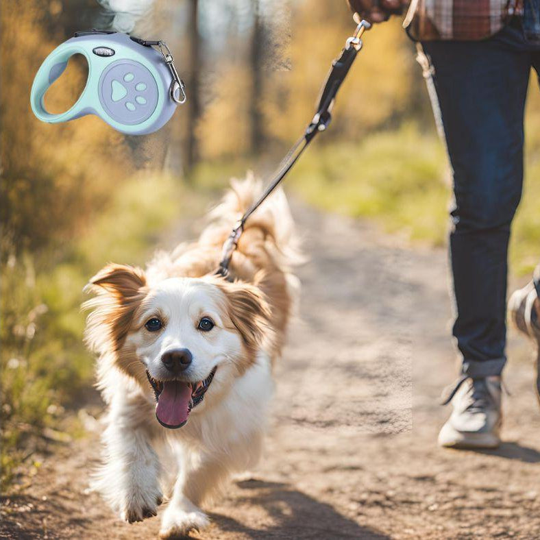 Laisse Enrouleur: Votre Compagnon Idéal Promenades Stylées, Confortables - Jwww.JappyToutou.com