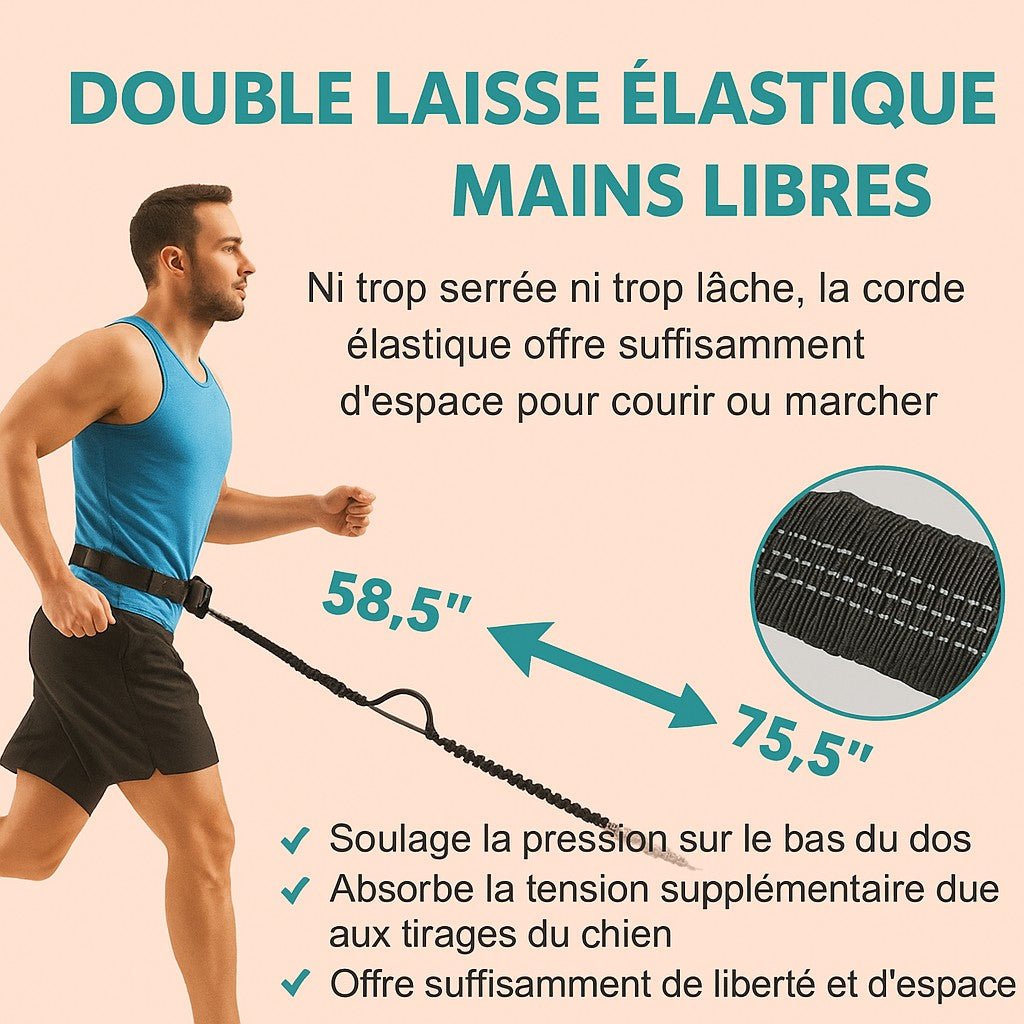 Laisse main libre chien / Double , Simple laisse multiple usage - Jappy Toutou