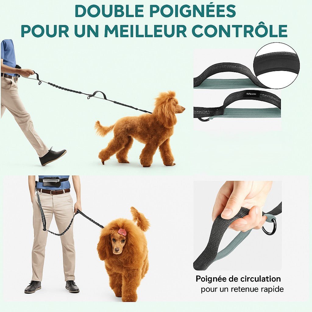 Laisse main libre chien / Double , Simple laisse multiple usage - Jappy Toutou