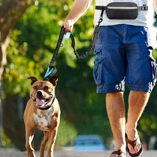 Laisse main libre chien / Double , Simple laisse multiple usage - Jappy Toutou