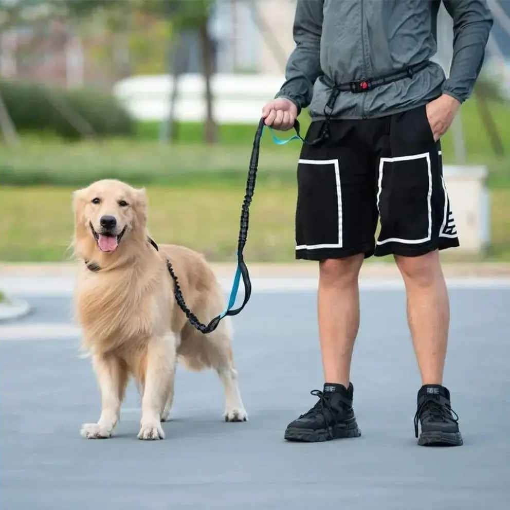 Double , Simple laisse multiple usage - Laisse main libre chien