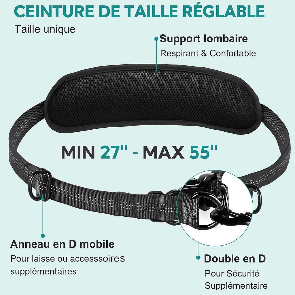 Laisse main libre chien / Double , Simple laisse multiple usage - Jappy Toutou