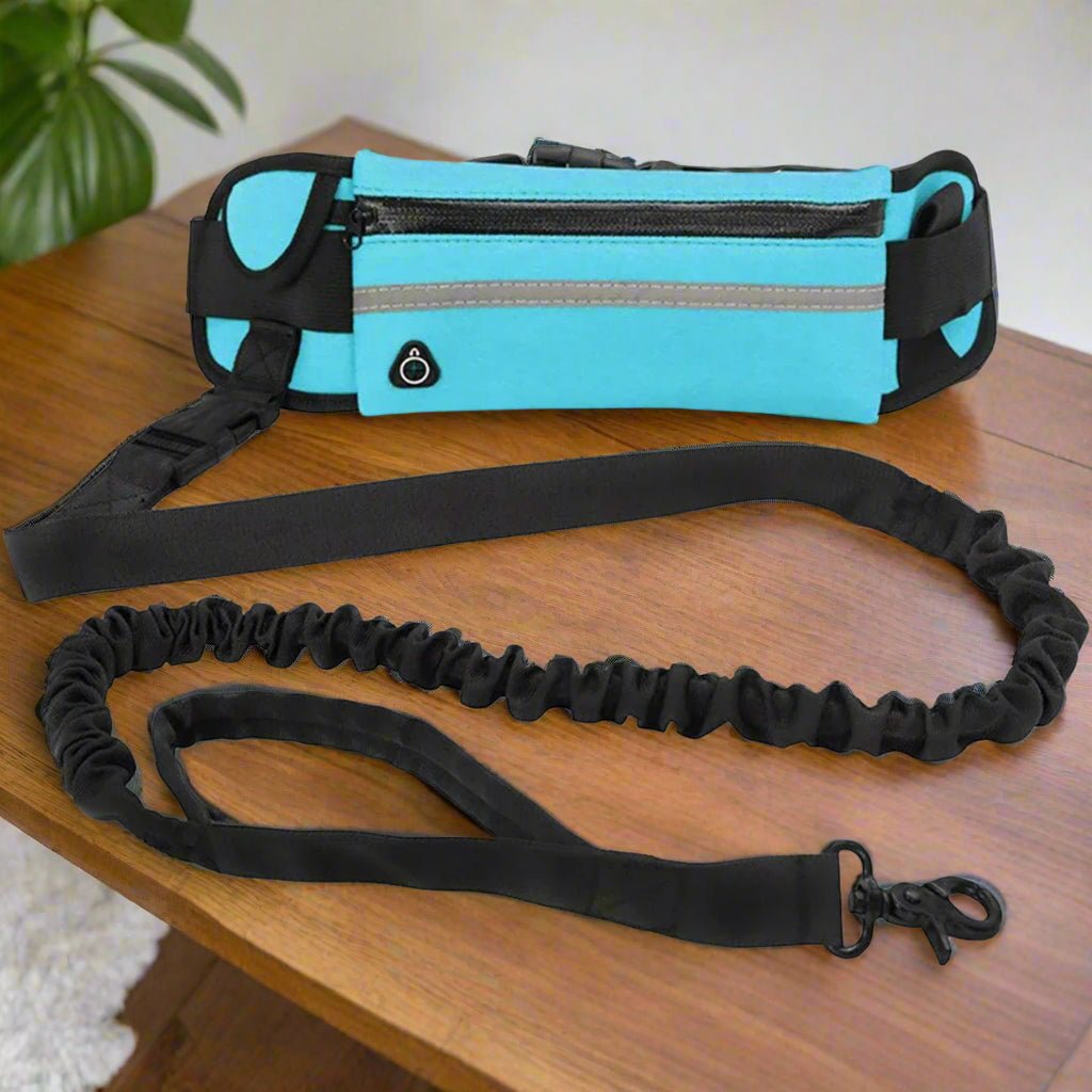 Laisse main libre chien-FreeBelt™ : Libérez vos mains et gardez le contrôle - Jappy Toutou
