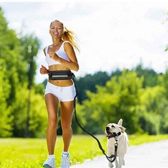 Laisse main libre chien-FreeBelt™ : Libérez vos mains et gardez le contrôle - Jappy Toutou