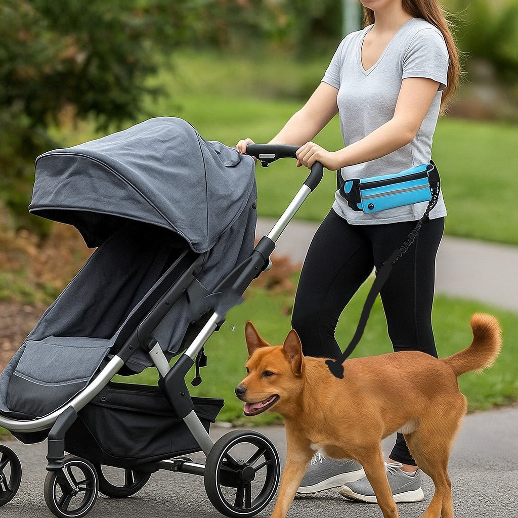 Laisse main libre chien-FreeBelt™ : Libérez vos mains et gardez le contrôle - Jappy Toutou