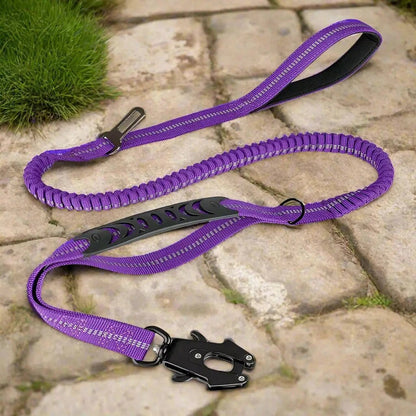 aisse pour chien –  Click'n'Laisse-2™ pour des balades de plaisir ! Son système bungee absorbe les chocs en sécurité