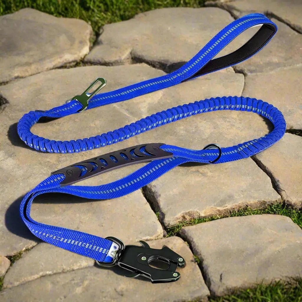Laisse pour chien - Click'n'Laisse-3™ : laisse multifonction pour toute une promenade - Jappy Toutou