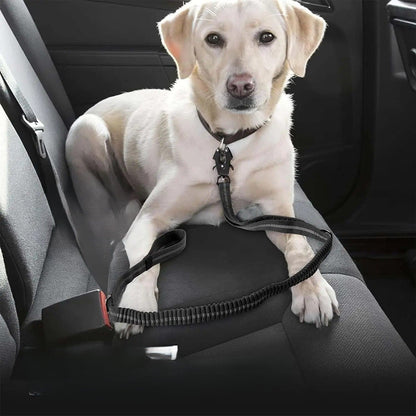 Laisse pour chien - Click'n'Laisse-3™ : laisse multifonction pour toute une promenade - Jappy Toutou