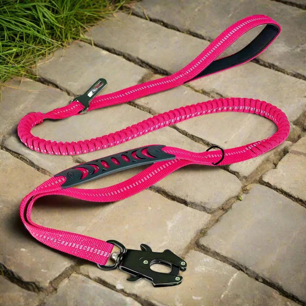 Laisse pour chien - Click'n'Laisse-3™ : laisse multifonction pour toute une promenade - Jappy Toutou
