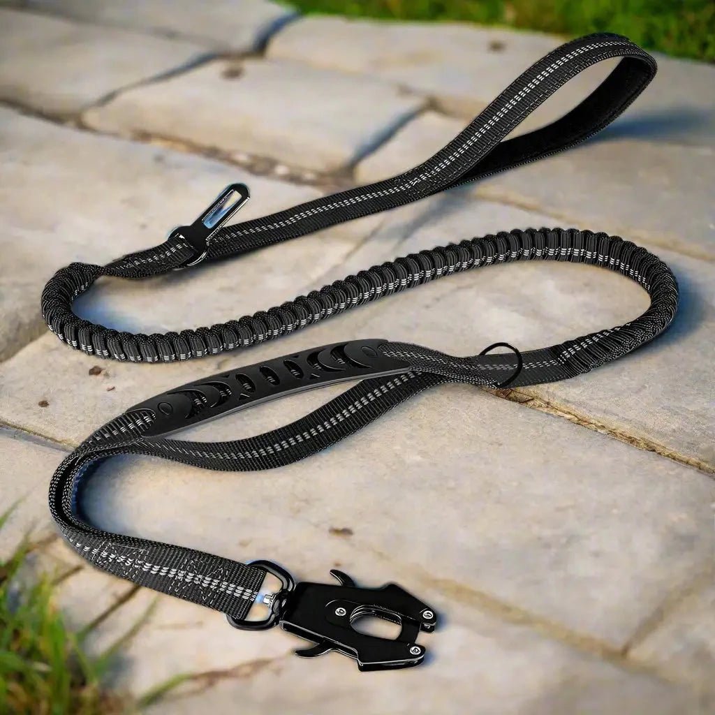 Laisse pour chien - Click'n'Laisse-3™ : laisse multifonction pour toute une promenade - Jappy Toutou