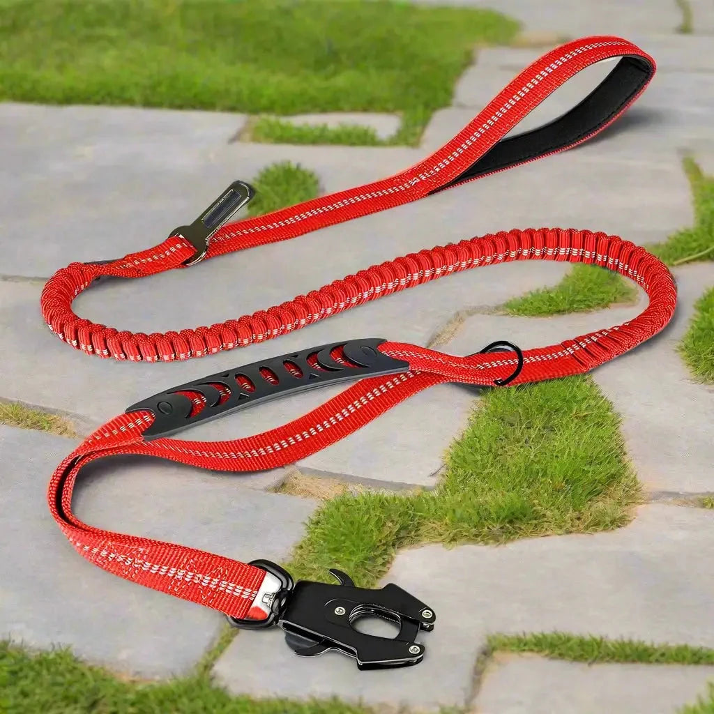 Laisse pour chien - Click'n'Laisse™ : La solution élastique qui transforme vos promenades - JappyToutou