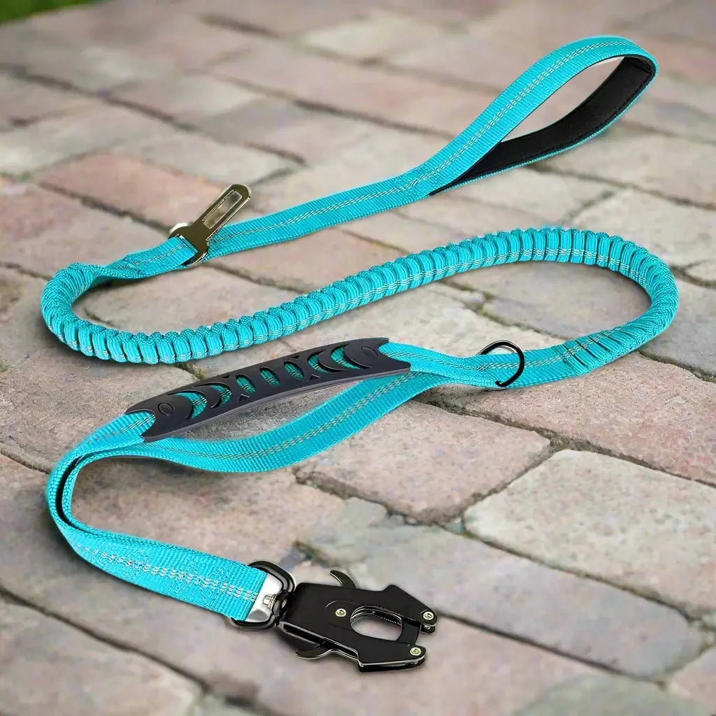 Laisse pour chien - Click'n'Laisse™ : La solution élastique qui transforme vos promenades - JappyToutou
