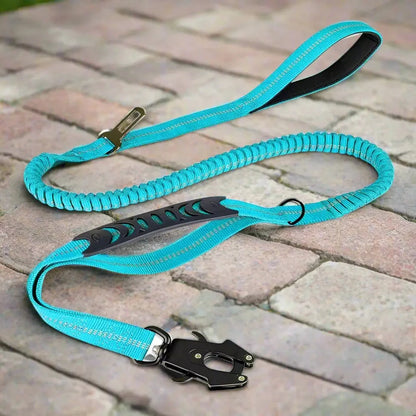 Laisse pour chien - Click'n'Laisse™ : La solution élastique qui transforme vos promenades - JappyToutou