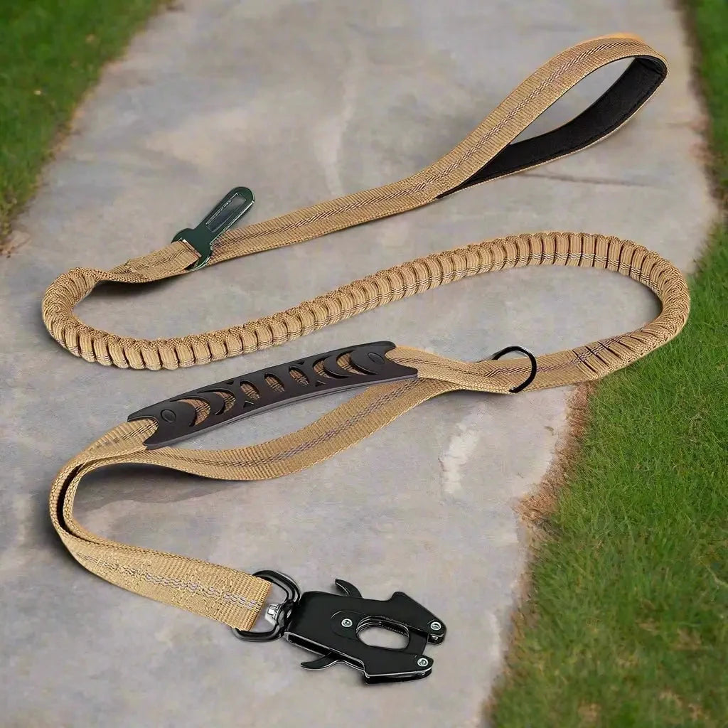 Laisse pour chien Click'n'Laisse™ : La solution élastique qui transforme vos promenades - JappyToutou