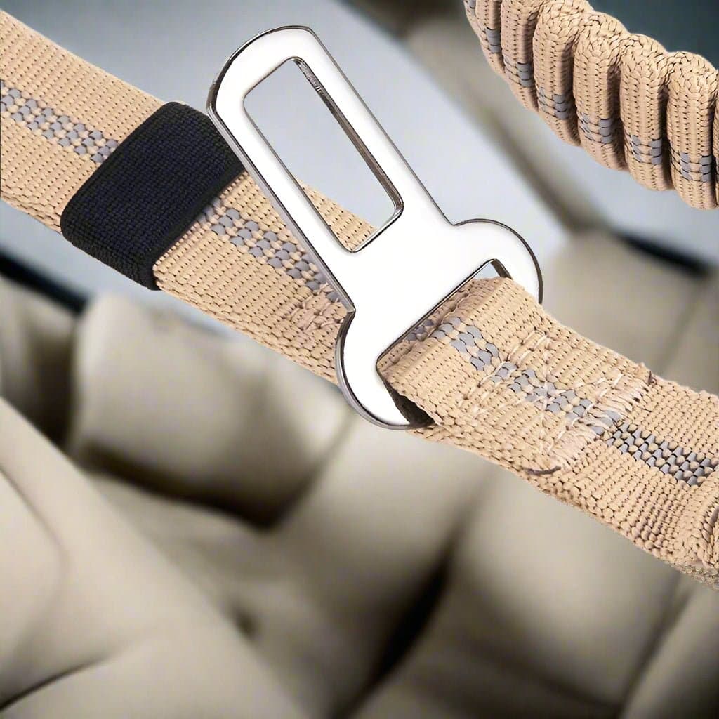 Laisse pour chien - Click'n'Laisse™ : La solution élastique qui transforme vos promenades - JappyToutou