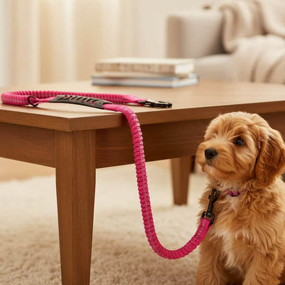 Laisse pour chien | JappyPatteLibre™ - Jappy Toutou