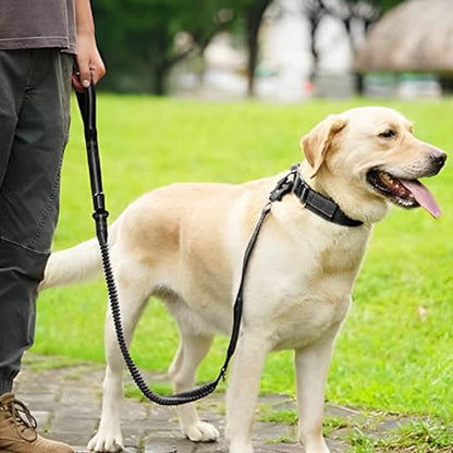 Laisse pour chien | JappyPatteLibre2™ - Jappy Toutou