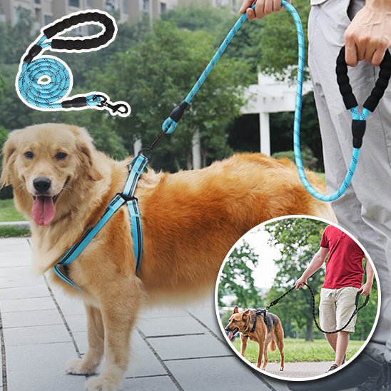 Laisse pour chien, LaisseEduc™ - Votre meilleur accessoire de promenade pour votre chien - www.JappyToutou.com