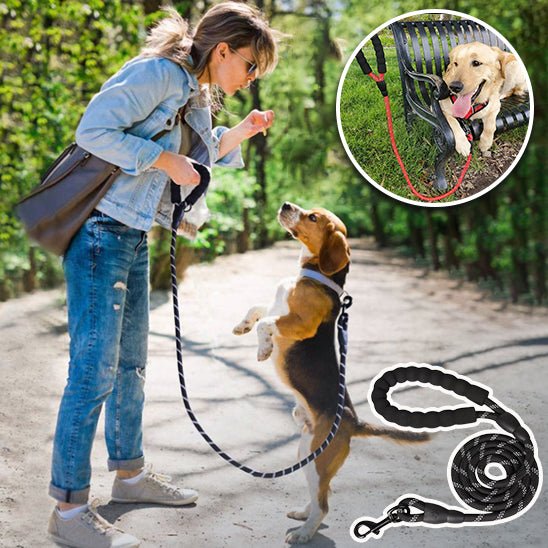 Laisse pour chien, LaisseEduc™ - Votre meilleur accessoire de promenade pour votre chien - www.JappyToutou.com