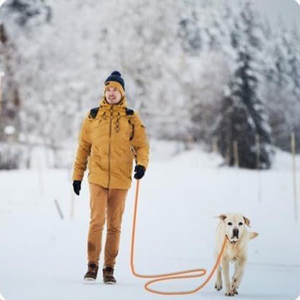 Laisse pour Chien Longue Couleur Pastel : Liberté et Sécurité - JappyToutou.com