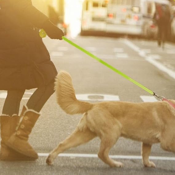 Laisse pour Chien Longue Couleur Pastel : Liberté et Sécurité - JappyToutou.com