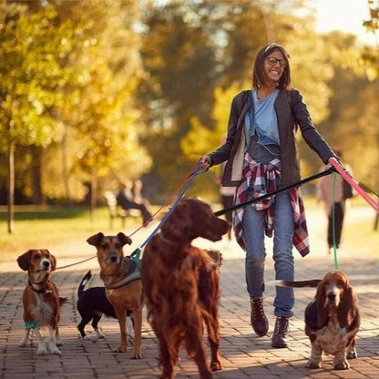 Laisse pour Chien Longue : Liberté de jouer en toute Sécurité - www.JappyToutou.com