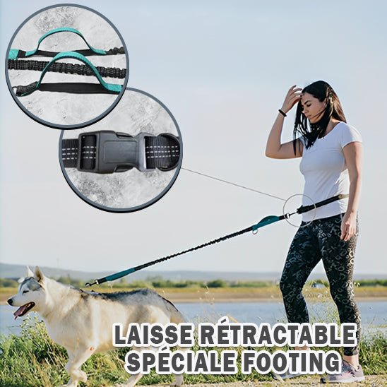 Laisse pour chien main libre: La Solution Idéale pour les Promenades Actives - www.JappyToutou.com