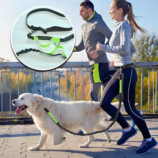 Laisse pour chien main libre: La Solution Idéale pour les Promenades Actives -www.JappyToutou.com