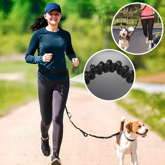 Laisse pour chien main libre: La Solution Idéale pour les Promenades Actives -www.JappyToutou.com