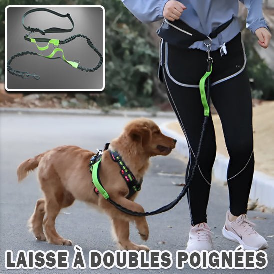 Laisse pour chien main libre: La Solution Idéale pour les Promenades Actives -www.JappyToutou.com