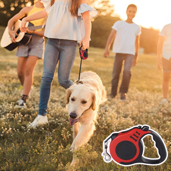 Laisse pour chien RetracLeash™ : Sécurité et Liberté pour Vos Promenades - www.JappyToutou.com