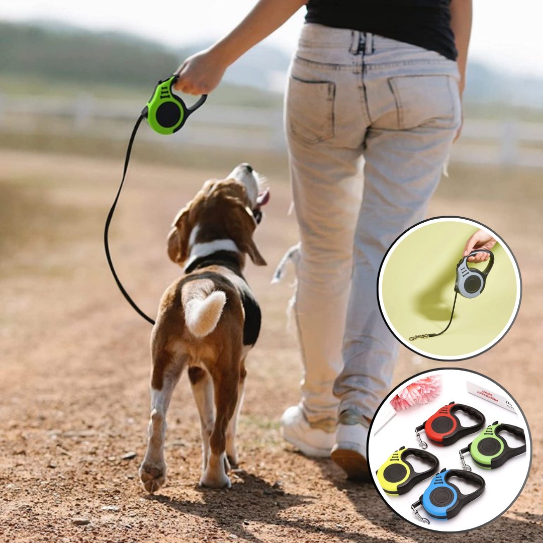 Laisse pour chien RetracLeash™ : Sécurité et Liberté pour Vos Promenades -www.JappyToutou.com