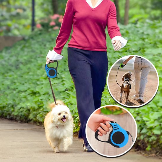 Laisse pour chien RetracLeash™ : Sécurité et Liberté pour Vos Promenades - www.JappyToutou.com