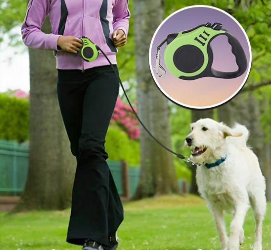 Laisse pour chien : Sécurité et Liberté pour Vos Promenades - www.JappyToutou.com