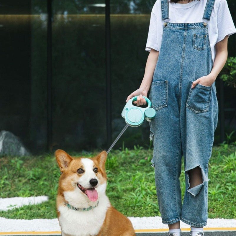 Laisse pour Chien | Robustesse™ - Jappy Toutou