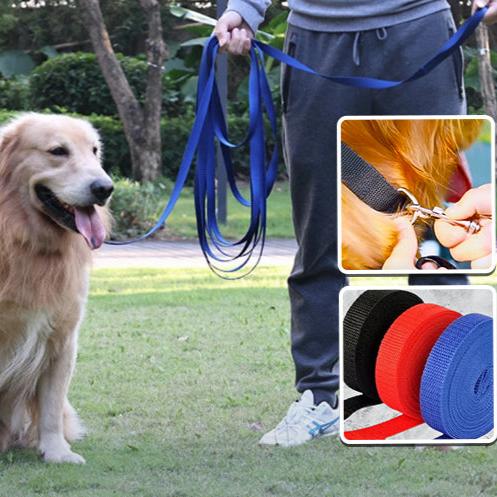 Laisse pour chien : Une solution ultime pour l'entraînement - www.JappyToutou.com