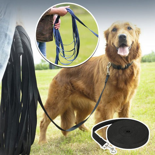 Laisse pour chien : Une solution ultime pour l'entraînement - www.JappyToutou.com