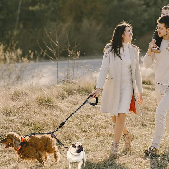 Laisse double pour chien NOIR TOUT Lieu