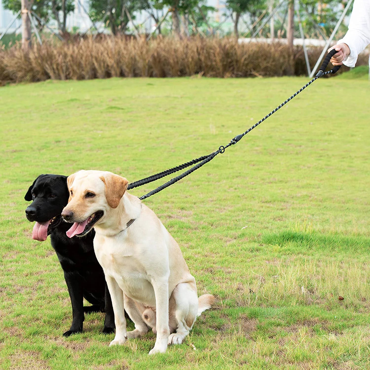 laisse_double_pour_chien_couleur_enchevetrement_