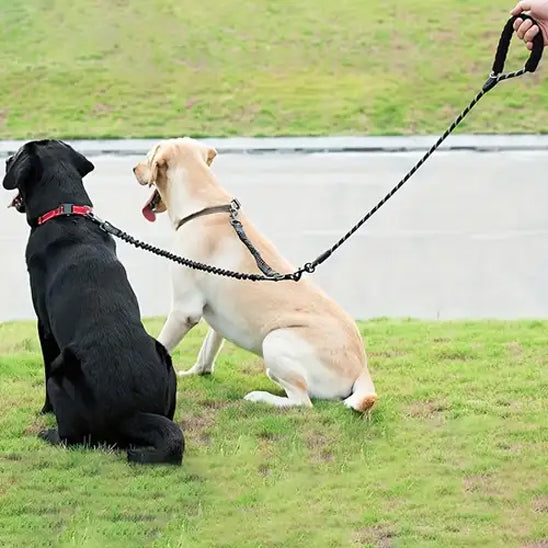 laisse_double_pour_chien_couleur_enchevetrement_